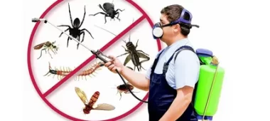 شركة مكافحة حشرات شمال الرياض